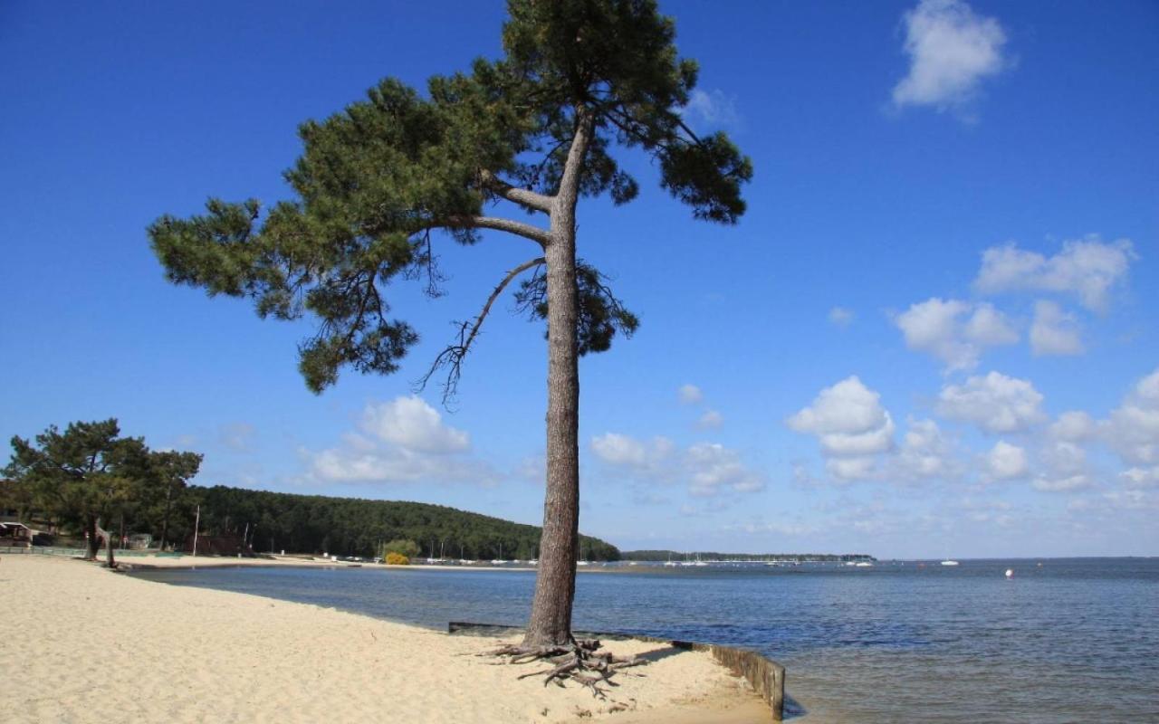 Maison Piscine 4 Ch Carcans Medoc Bassin Arcachon Exteriör bild