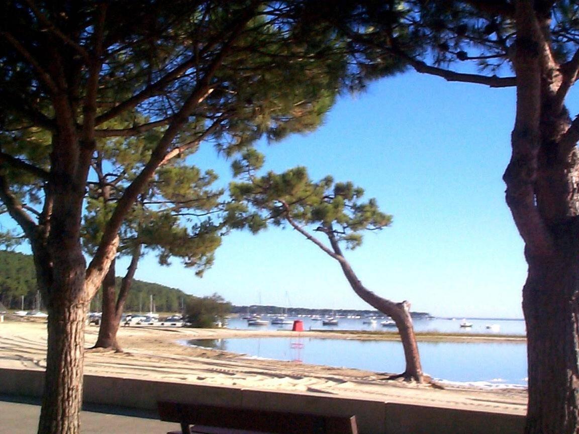 Maison Piscine 4 Ch Carcans Medoc Bassin Arcachon Exteriör bild