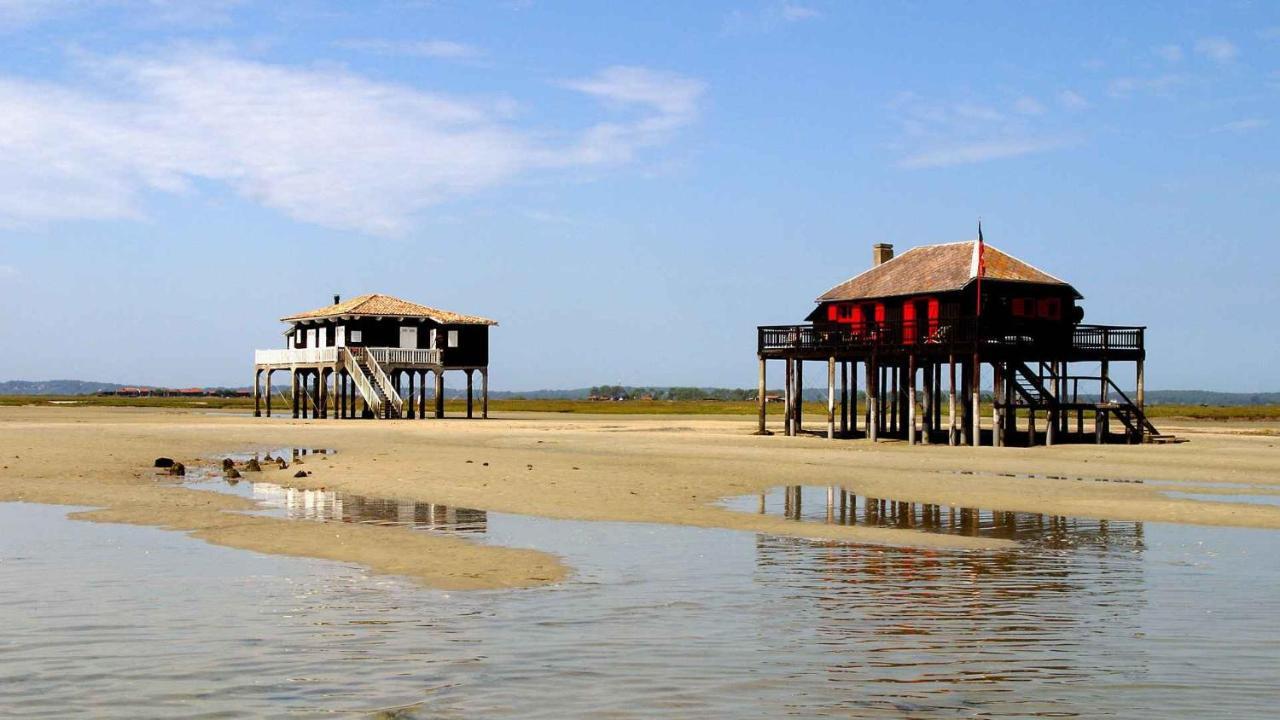 Maison Piscine 4 Ch Carcans Medoc Bassin Arcachon Exteriör bild